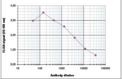 ELISA: Histone H3 [ac Lys18, Dimethyl Arg17] Antibody [NBP2-59217]